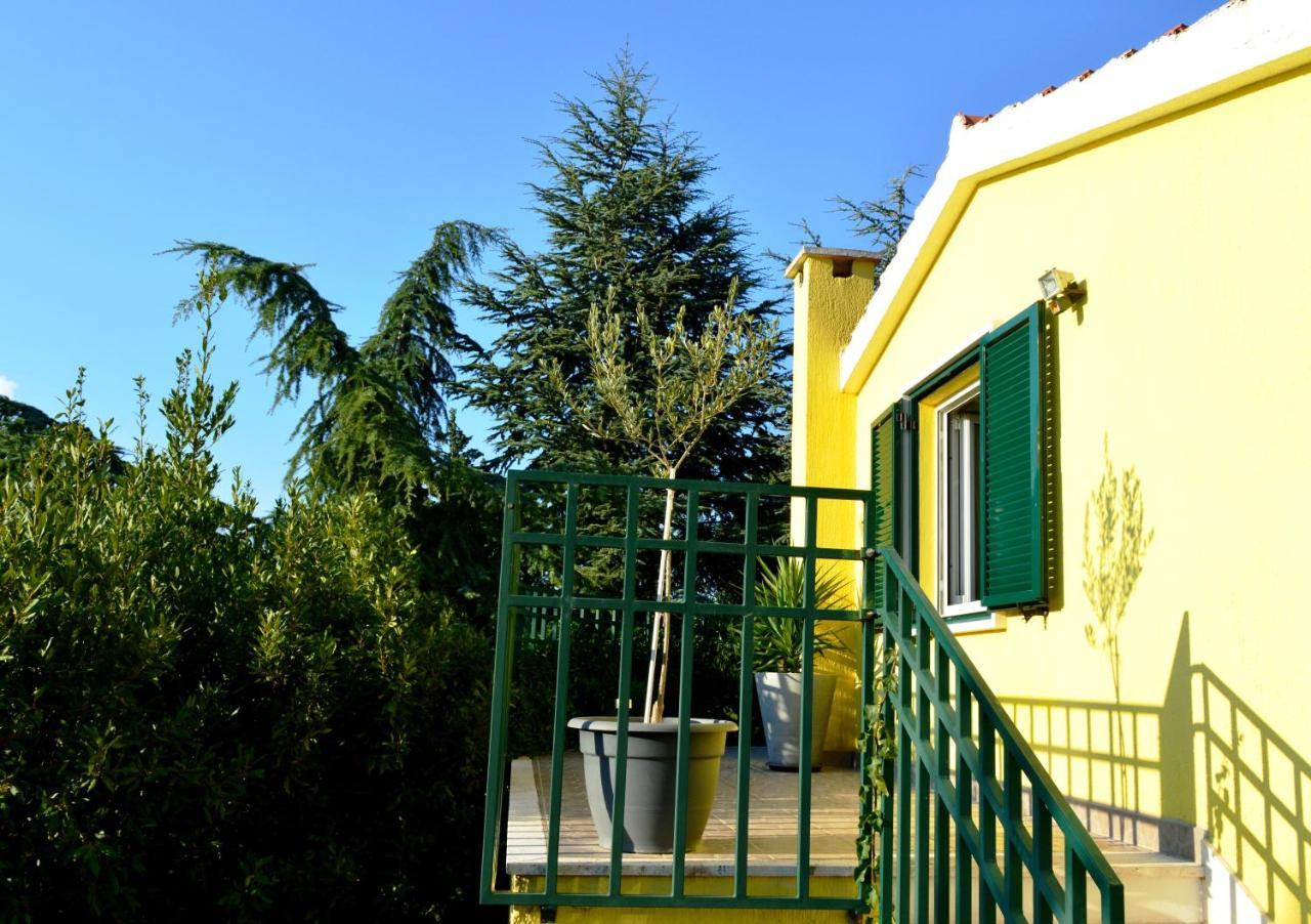 Apartments Vukovic Stari Grad  Exterior foto